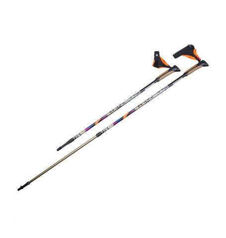 Палки для скандинавской ходьбы US Medica Carbon GTS